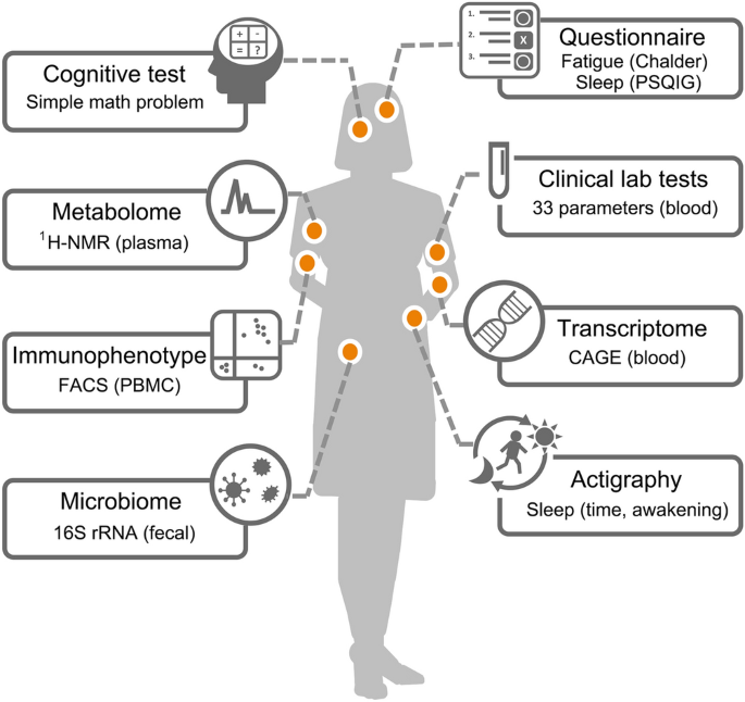 Deep Phenotyping Of Myalgic Encephalomyelitis Chronic Fatigue Syndrome In Japanese Population Scientific Reports