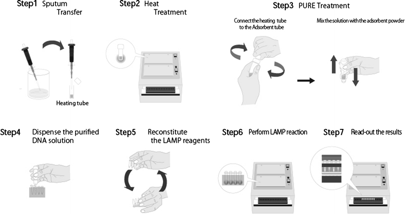 Loop-mediated isothermal amplification (LAMP): recent progress in ...