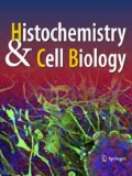 Increased endocytosis rate and enhanced lysosomal pathway of silica ...