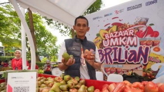 Modal KUR BRI, Petani Ini Sukses Taklukkan Hama & Kembangkan Usaha Jambu Citra