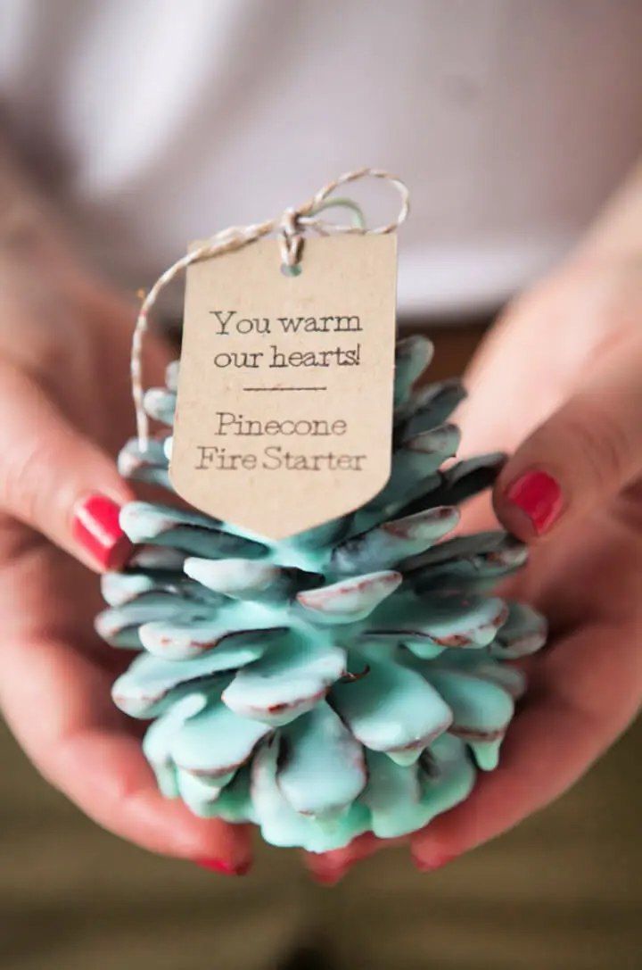 Pinecone Fire Starter Wedding Favors