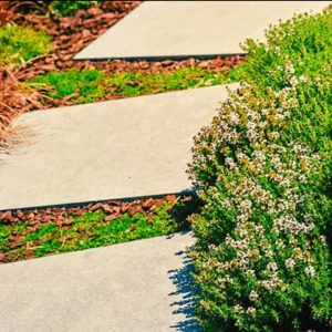 Square Stepping Stones Walkway