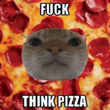 a cat 's face is surrounded by pepperoni pizza with the words " fuck think pizza "