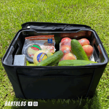 a bag filled with fruits and vegetables includes a bag of queso