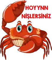 an illustration of a crab with the words hoyynn nislersiniz above it