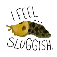 an illustration of a snail with the words i feel sluggish below it