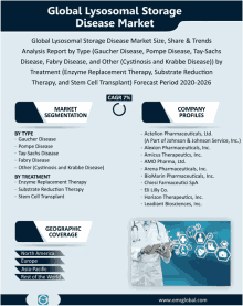 a poster for the global lysosomal storage disease market shows a doctor holding a tablet