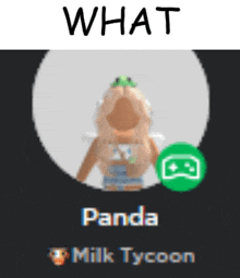 a blurred image of a girl with the name panda on her profile