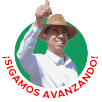 a man giving a thumbs up with the words sigamos avanzando