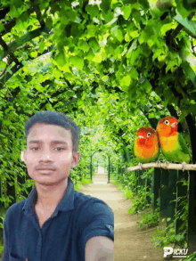 a man taking a selfie with two colorful birds in the background and the word picku on the bottom right