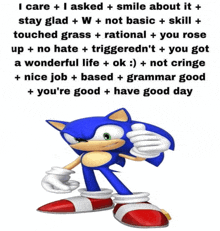 a picture of sonic the hedgehog with a message on it