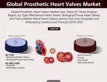 a poster showing the global prosthetic heart valves market size