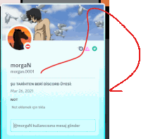 a screenshot of morgan 's discord profile