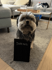 a small dog sitting next to a book titled death note