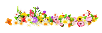 a bunch of colorful flowers are lined up in a row on a white background