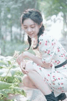 a woman in a cherry dress is kneeling down in a garden .