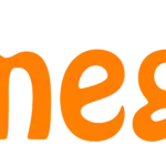 orange letters on a white background that say nes