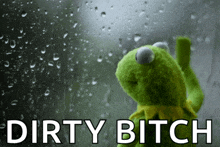 a kermit the frog looking out a window with the words dirty bitch written below him