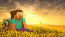 a minecraft character is sitting in a field with a diamond pickaxe on his back