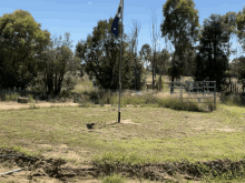 an australian flag is flying in the middle of a grassy field