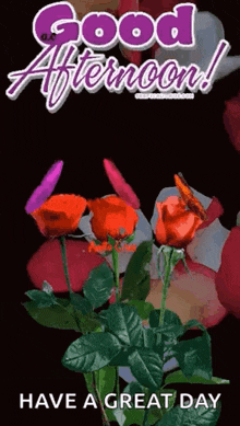 a good afternoon greeting card with roses and a butterfly .