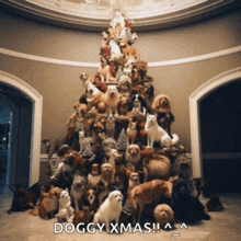 a christmas tree made out of dogs and cats