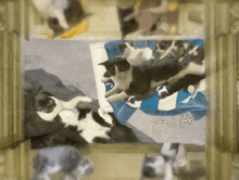 a painting of black and white cats with the words " spreading of happiness " on the bottom right