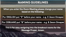 a poster that says " naming guidelines " with a mountain in the background