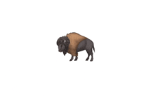 an emoji of a bison standing on a white background .