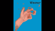 a drawing of a hand holding a carrot with the word weenor written above it