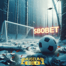 a soccer ball is in the snow in front of a soccer goal with a sign that says sbobet