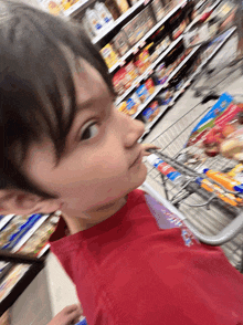 a young boy in a red shirt is pushing a shopping cart in a supermarket