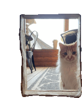 a cat looking through a window with a chair and a basket in the background