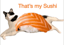 a cat laying on top of a piece of sushi with the words that 's my sushi below it