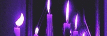 a bunch of purple candles are lit up in the dark .