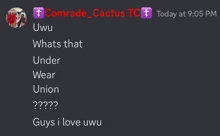 a screenshot of a chat with comrade cactus