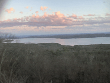 a large body of water is surrounded by trees and a cloudy sky