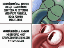 a cartoon of a turtle with the words " kormanymedia " written on it