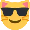 a cat emoji wearing sunglasses is smiling .