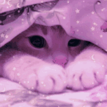 a cat is hiding under a pink blanket