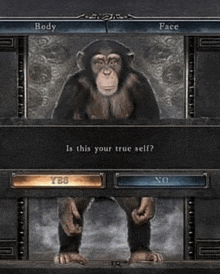 a chimpanzee is standing in front of a screen that says body and face