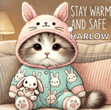 a cat wearing a bunny costume is sitting on a couch with the words stay warm and safe harlow below it