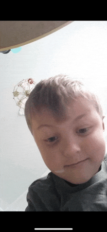 a young boy with a ferris wheel in the background