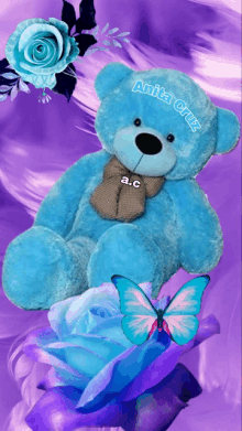 a blue teddy bear with the name anita cruz on its chest