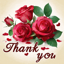 a thank you card with red roses and red hearts