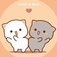 a cartoon of two cats standing next to each other with the words volim te mile above them