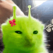 a green cat with a red bow on it 's head looks like shrek