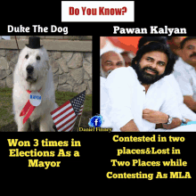 duke the dog won 3 times in elections as a mayor and pawan kalyan contested in two places and lost in two places