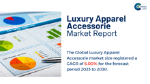 a luxury apparel accessorie market report is displayed on a white background