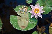 a lily pad with a woman 's face on it and pills on it